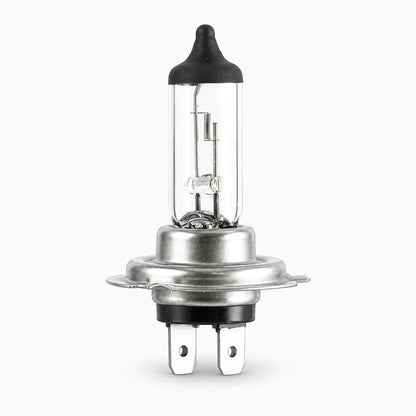 Lot de 10 ampoules halogènes H7 12V à montage direct pour phares automobiles